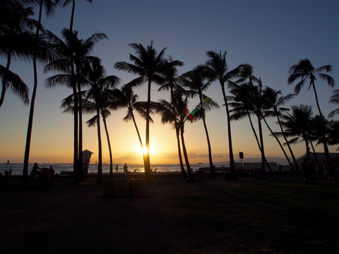 People watch and take photos of dramatic Sunset dropping behind the ocean through Coconut trees on Kaimana Beach