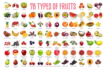 Poster Fruits Icons – A huge set includes 78 types of colorful fruits with names. The icons were drawn in free hand and have thin gray line. Can be used for supermarket categories, for learning, as a poster. © greiss design