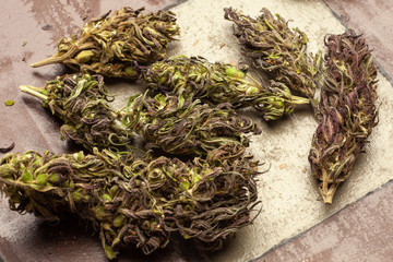 A close up of Marihuana buds . Alternative medicine, THC and CBD value and influence for health  