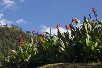 Contrastes de la naturaleza colombiana