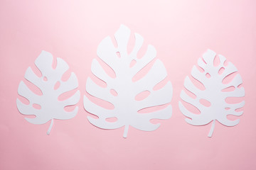 exotic leaves. pink and white leaves. Poster with design elements.