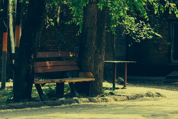  Old bench in the yard.