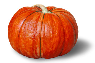 Pumpkin on white background.