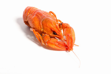 boiled crawfish on wooden surface