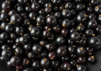 Background of black currants. Fresh berries closeup. Top view. Background of fresh berries. Various fresh summer fruits. Black food. Background of blackcurrants.