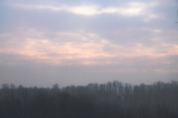Heavy mist falling on a forest during sunset in winter