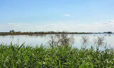 Fototapeta na wymiar Tablas de Daimiel National Park is a wetland on the La Mancha plain, Ciudad Real, Spain. 