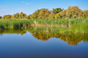 Tablas de Daimiel National Park is a wetland on the La Mancha plain, Ciudad Real, Spain. 