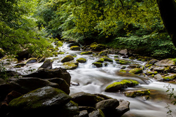 Fototapeta premium East Lyn river, North Devon, UK