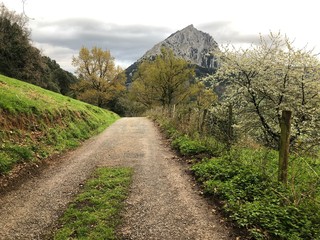 Spring at road in mountains