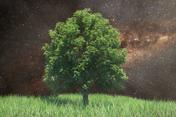 3d illustration growing tree on a hill with grass on the background of the Milky Way, space and stars