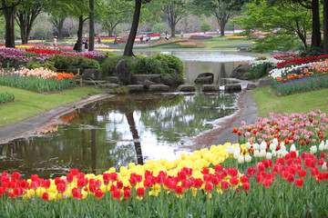 Tulips of various colors and shapes coloring the park in spring, looking like a painting.