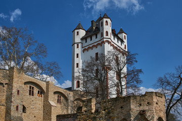 Fototapeta premium View at castle Eltville near river Rhein at the famous wine growing area Rheingau, Germany.