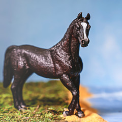 Obraz na płótnie Canvas Horse by a running river
