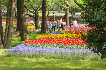 Tulips of various colors and shapes coloring the park in spring, looking like a painting.