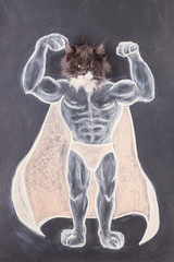 Strong cat is a superhero. Caricature bodybuilder. Cat bodybuilder. Front view close-up strong and bold superhero.