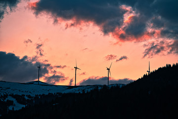 Windräder im Abendlicht