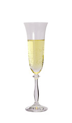 Glass, champagne on a white background