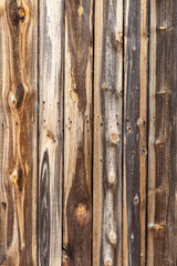 Fototapeta premium Wood texture background
