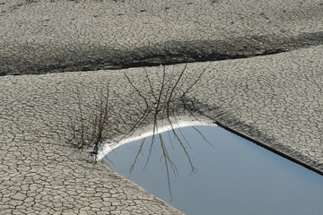 water  and desert