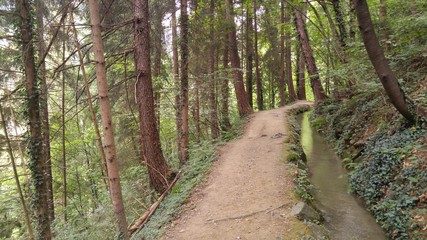 Waalweg im Passeiertal zwischen Saltaus und Meran in Südtirol