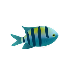 Naklejka premium Striped tropical fish isolated. Realistic fish coral reef, exotic underwater animal. Summer sea diving, travel and recreation design, design of the marine and aquarium world.