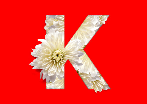 flower in letter