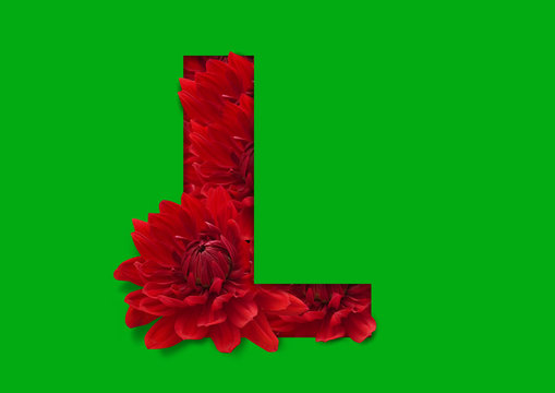 flower in letter