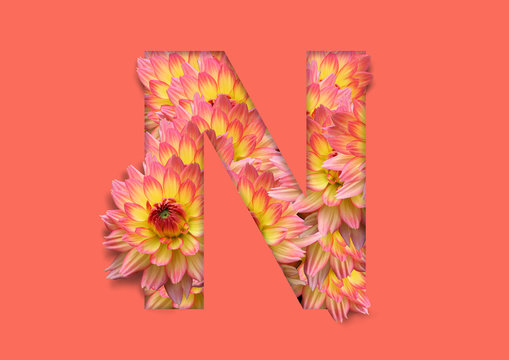 flower in letter