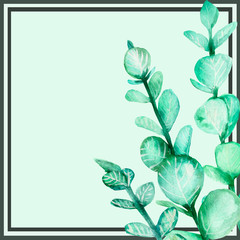 Watercolor hand painted squared frame with black border strips, green eucaliptus branches with leaves and light green backgroud with the space for text