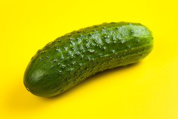 Fresh cucumber isolated on yellow background
