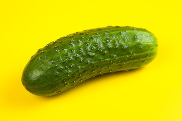 Fresh cucumber isolated on yellow background