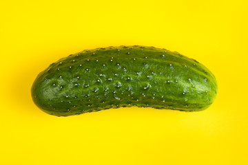 Fresh cucumber isolated on yellow background
