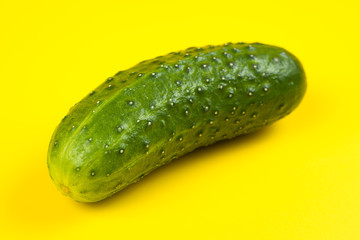 Fresh cucumber isolated on yellow background