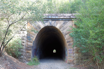 Picton Mushroom Tunnel