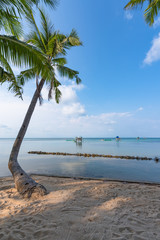 Palm trees on a beach. The old fishing houses on stilts turquoise sea.