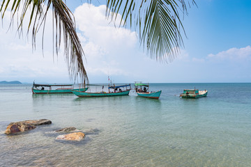 Seascape with fishing boats, palm leaves and stones