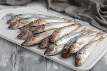 Chicharros, raw horse mackerel closeup