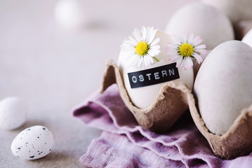 Romantische Ostergrüße mit Gänseblümchen in ausgeblasenen Eiern