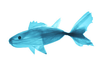 Plastic trash in the sea. Pollution of the world ocean waste. Silhouette of fish from a used plastic bag.