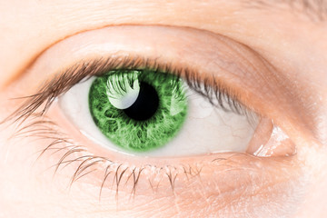 Fototapeta premium Eyes close-up