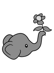 blume schenken elefant halten muttertag valentinstag sitzend süß kalb klein kind baby clipart comic cartoon niedlich dickhäuter savanne rüsseltier jumbo grauer riese