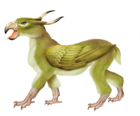 fauve, bec, aigle, cornes, ailes, mythique, volant, imaginaire, animal, gris bleu, fantastique, hybride, illustration, légende, isolé, fond blanc, en marche, canines