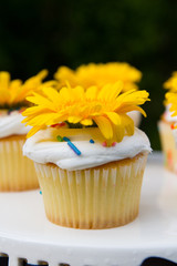 Yellow cupcakes with sprinkles and flowers on a cakestand 