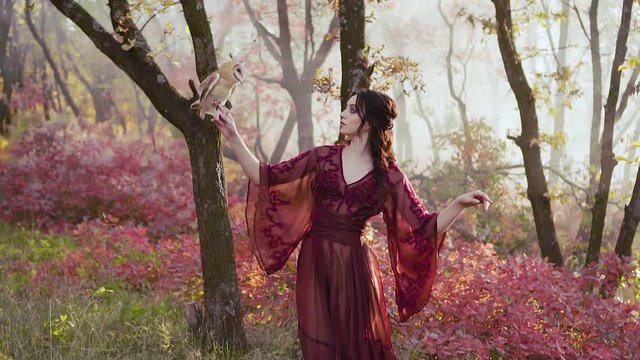 mother of Flora and Fauna teaches little barn owl to fly, an attractive girl holds a white owl on her finger and makes her flap its wings, the friendship of man and animal in a red forest