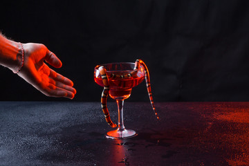 snake in a glass with red liquid and a male brutal hand against a dark background