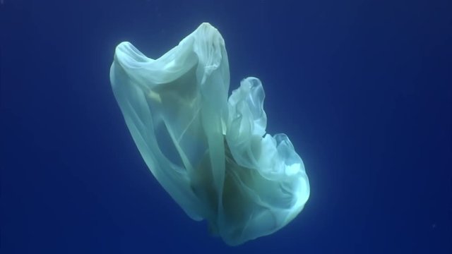 Young woman underwater model in white cloth on background of blue water. Concept of creativity and art of creating images.