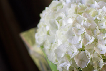 Flowers of hydrangeas at a wedding