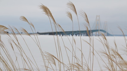 Mackinac Bridge in Winter
