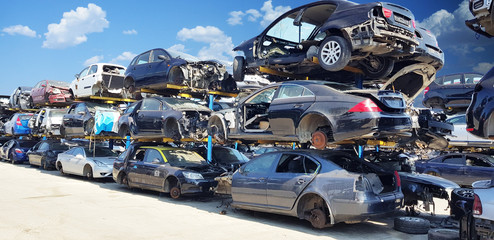 Wrecked vehicles on the junkyard  - obrazy, fototapety, plakaty